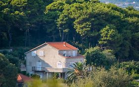 Apartments & Rooms Tapera